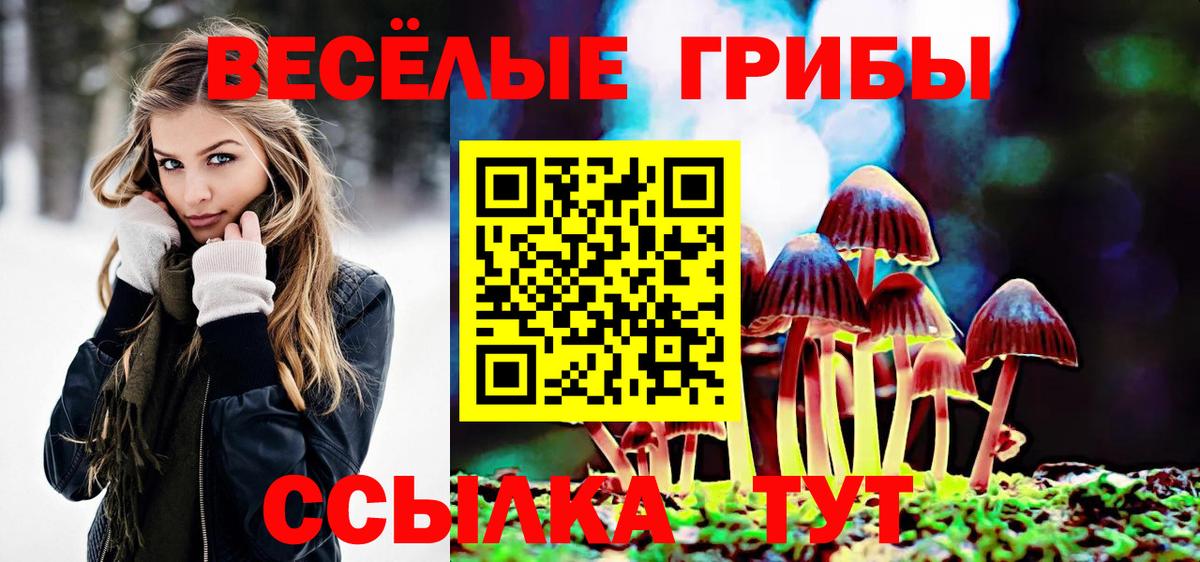 Ульяновск  Галлюциногенные грибы мицелий  Вход с VPN 